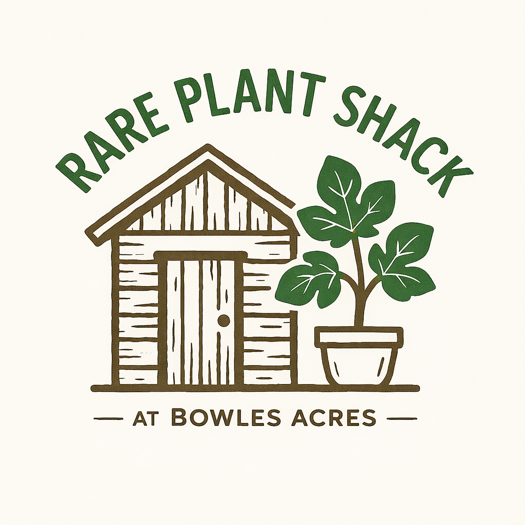 Rare Plant Shack